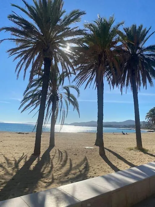 Appartement 50 M2 Le Lavandou - Vue Mer - Plage - Commerces